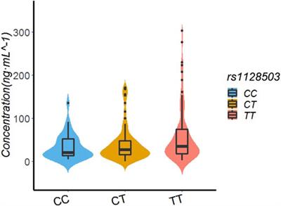 Influence of ABCB1 Gene Polymorphism on Rivaroxaban Blood Concentration and Hemorrhagic Events in Patients With Atrial Fibrillation